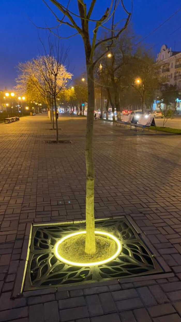 Приствольная решетка для дерева ZKING CRUST 1.2х1.2м Черная в Куйбышеве фото